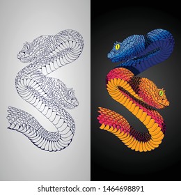 Two Snakes illustration art vector