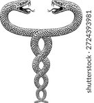 Two snakes intertwined serpents in a double helix spiral. Original illustration in a vintage woodcut engraving etching style.