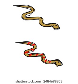 two snakes - mysterious reptiles