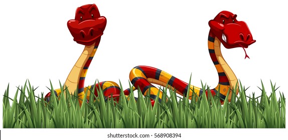 Two snakes on green grass illustration