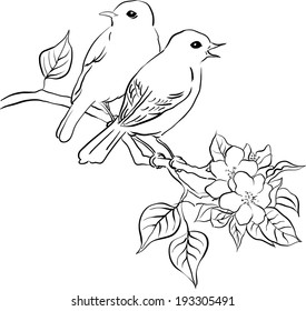 Songbird Drawing Images Stock Photos Vectors Shutterstock