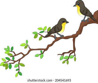 Two song birds on spring branch