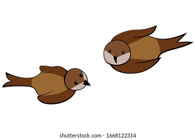 Two sparrows are looking up. Little birds with brown feathers. Isolated on a white.