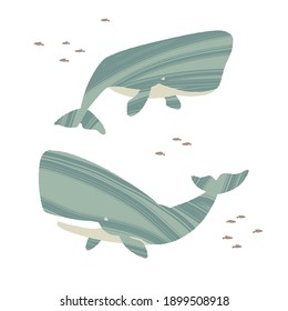 Two sperm whales. Ocean animals in trendy flat style. Hand drawn marine mammals with decorative dry brush texture. Vector illustration isolated on white background.