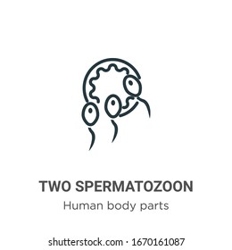 Icono vectorial de contorno de dos espermatozoos. Icono de dos espermatozoones de línea delgada, ilustración de elemento simple vector plano del concepto de partes del cuerpo humano editable trazo aislado en fondo blanco