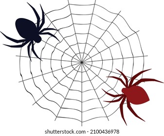 Arte vectorial de dos arañas e ilustración