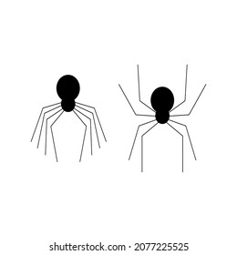 two spiders drawing, vector illustration