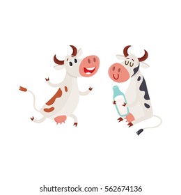 Two spotted Dutch cows, one holding milk bottle, another running on two legs, cartoon vector illustration isolated on white background. Funny cow characters for dairy farm product design