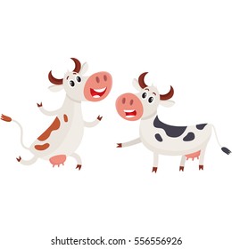 Two spotted Dutch cows talk and dancing, running, cartoon vector illustration isolated on white background. Funny cow characters for dairy farm product design