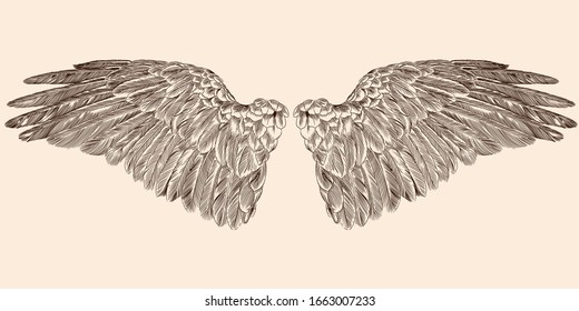 Two spread wings of an angel made of feathers isolated on a beige background.