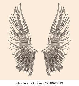 Two spread wings of an angel made of feathers isolated on a beige background.