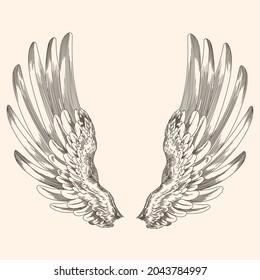 Two spread wings of an angel made of feathers isolated on a beige background.