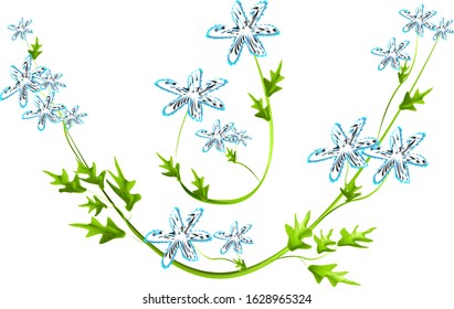 
two sprigs of flowers blue with white, and green leaves