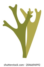 Two sprigs of Icelandic moss for a design, logo or icon