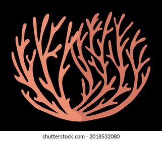 Two sprigs of red coral on a black background