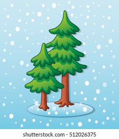 Two spruce trees on a snowy winter background.