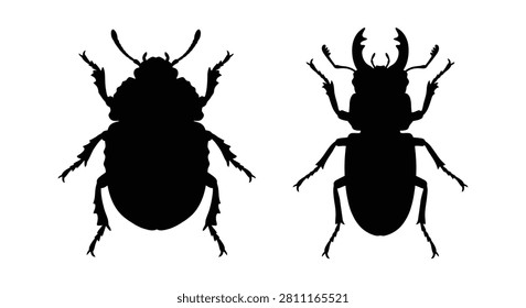 Two stag beetle silhouettes against a white background detailed insect shapes bugs arthropod