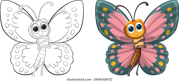 Two stages of butterfly, sketch and colored