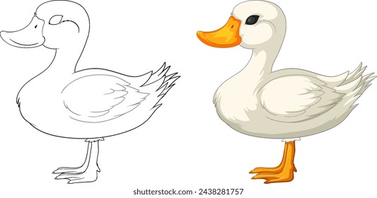 Two stages of duck drawing, sketch and colored
