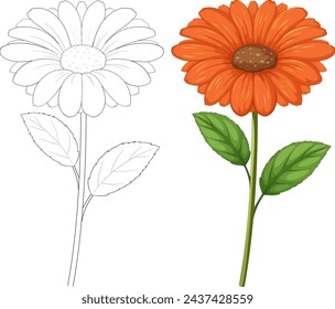 Two stages of a flower, outlined and fully colored.
