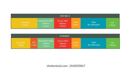 Two standard types of ethernet frame, vector	