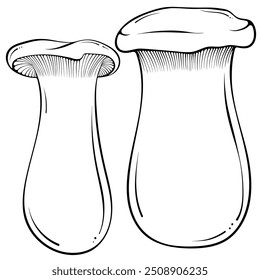 Two standing King Trumpet mushrooms, Eryngii, King Oyster edible mushroom. Vector illustration in hand drawn sketch doodle style. Line art graphic vegetarian food isolated on white for coloring book