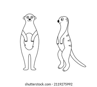 Two standing meerkats silhouette, cute cartoon meerkat for logo, coloring. Vector illustration of an African animal isolated on white