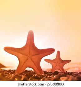 Two starfish on the beach. Vector drawing