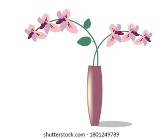 Two stems with pink flowers in a high vase on a white background. Vector illustration
