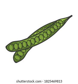 Dos frijoles apestosos sobre fondo blanco