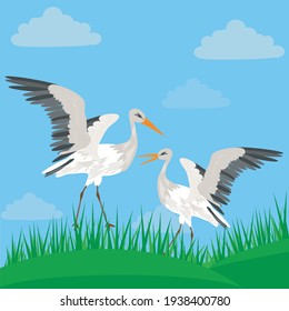 Two storks  on a green lawn