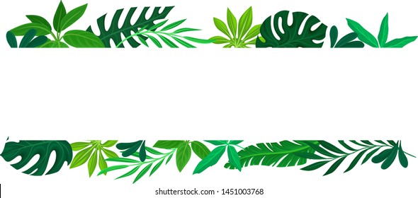 Two straight leaves. Vector illustration on white background.