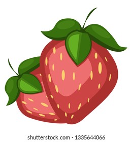 Two strawberries with leaves on top , vector, color drawing or illustration.