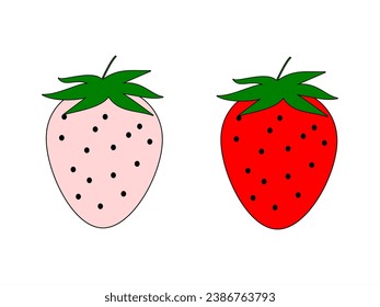 two strawberries, one young and one ripe