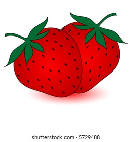 Two strawberries, vector.