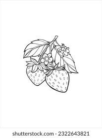 Two strawberry fruit outline design