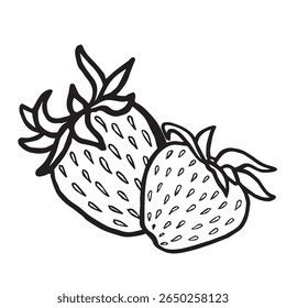 Dos Ilustraciones vectoriales aisladas dibujadas a mano de fresa para el diseño de productos alimenticios. Bosquejo blanco y negro de las bayas frescas del jardín, comida sana orgánica. Fruta de verano en línea estilo de arte para cosméticos, textiles.