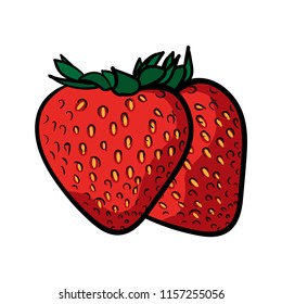 Two Strawberry Line Color Illustration Vector
