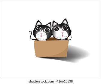 Two stray cat crying in a box.Illustration vector.
