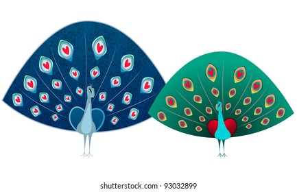 Two stunning peacocks with hearts in feathers /Peacocks