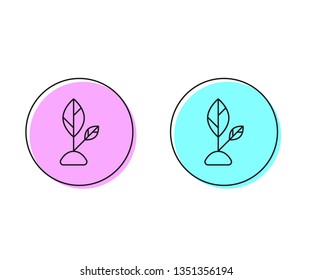 Two style illustration, pink and cyan Planting seed sprout in ground. Symbol grow sapling.