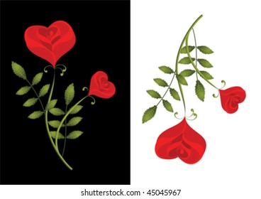 Two stylised red roses in the form of heart on white and on a black background