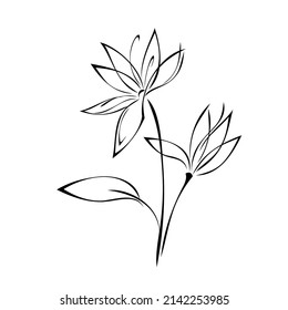 dos flores estilizadas florecientes sobre tallos con una hoja. decoración gráfica