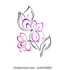 two stylized blooming flowers on stems with leaves and curls in colored lines. graphic decor