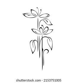 two stylized blooming flowers on tall straight stems with leaves. graphic decor