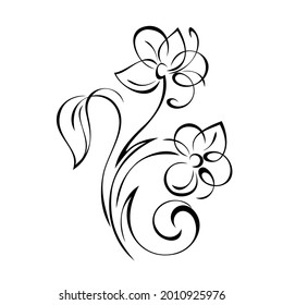 two stylized blossoming flowers on curved stems with a leaf and curls