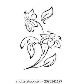 two stylized blossoming flowers on stems with leaves and curls. graphic decor