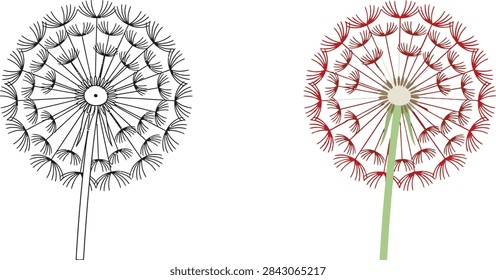 Two stylized dandelion illustrations, one in black and white line art and one with colored details, set against a white background.