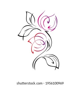 two stylized flower buds on a stem with leaves in colored lines on a white background