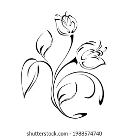 two stylized flower buds on a curved stem with leaves and curls in black lines on a white background